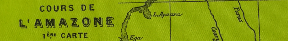 Jules Verne: Die Jangada. 800 Meilen auf dem Amazonas
