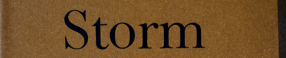 Schrift "Storm" schwarz auf braun. Rechts ein dunkelbrauner Rand. Ausschnitt aus Buchcover.