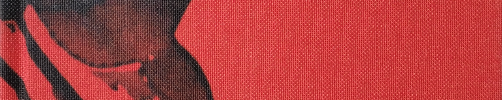 Links, schwarz und grau auf rot, Flecken, die im vollständigen Bild wohl die Flanke eines gerade ausbrechenden Vulkans darstellen. Rechts nur rot. Es handelt sich um einen Ausschnitt aus dem Buchcover, das seinerseits das Gemälde "Bausch" von Otto Piene verwendet hat (Öl, Acryllack und Russ auf Leinwand, 1998).