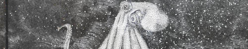 Schwarz-weiße Grafik von Michèle Ganser, die den Kopf eines Oktopus zeigt und den Anfang seiner Tentakeln vor einem dunklen Hintergrund mit hellen Punkten (fast wie ein Sternenhimmel, allerdings sind Wellen zu erkennen). - Ausschnitt aus dem Buchcover.