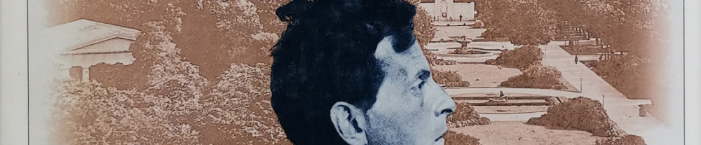 Fotomontage: Wittgensteins Kopf in stahlblau nach rechts schauend vor dem in sepia gehaltenen Bild der Anlagen von Schloss Schönbrunn. - Ausschnitt aus dem Buchcover.