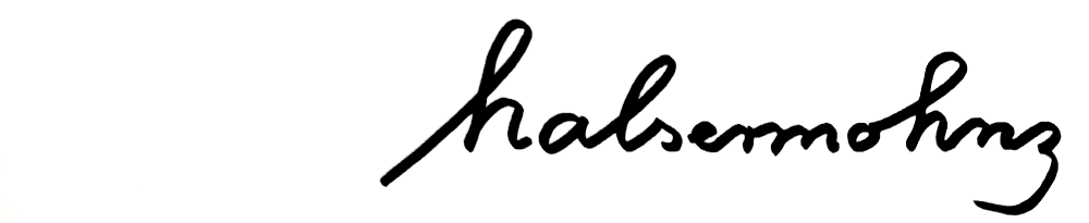 Schwarz auf weiß, in der Handschrift des Autors, steht der Titel des Buchs „halsermohnz“, alles in Kleinbuchstaben. – Ausschnitt aus dem vordersten Blatt.